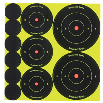 Birchwood Casey 34608 Shooting Target