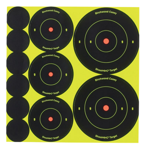 Birchwood Casey 34608 Shooting Target