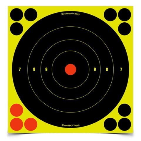 Birchwood Casey Shoot-N-C 8 in. Bulls-Eye Target - 30 Targets