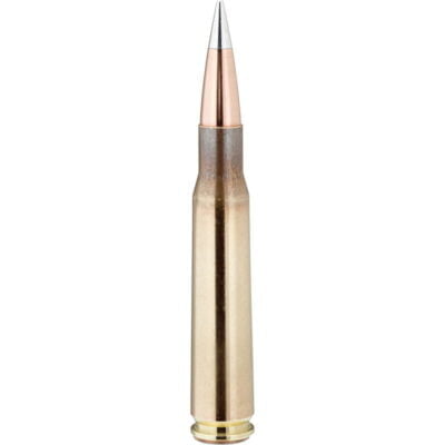 Hornady Match .50 BMG Ammunition 10 Rounds A-Max BT 750 Grains 8270