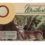 Weatherby .270 Weatherby Magnum 130 Grain Norma Spitzer 20rd/Box