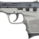 Smith & Wesson M&P Bodyguard 380 Carry Conceal Pistol with H152 Stainless Cerakote Finish