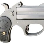 Bond Arms Stinger RS Stainless 9mm 2.5" Barrels 2-Rounds